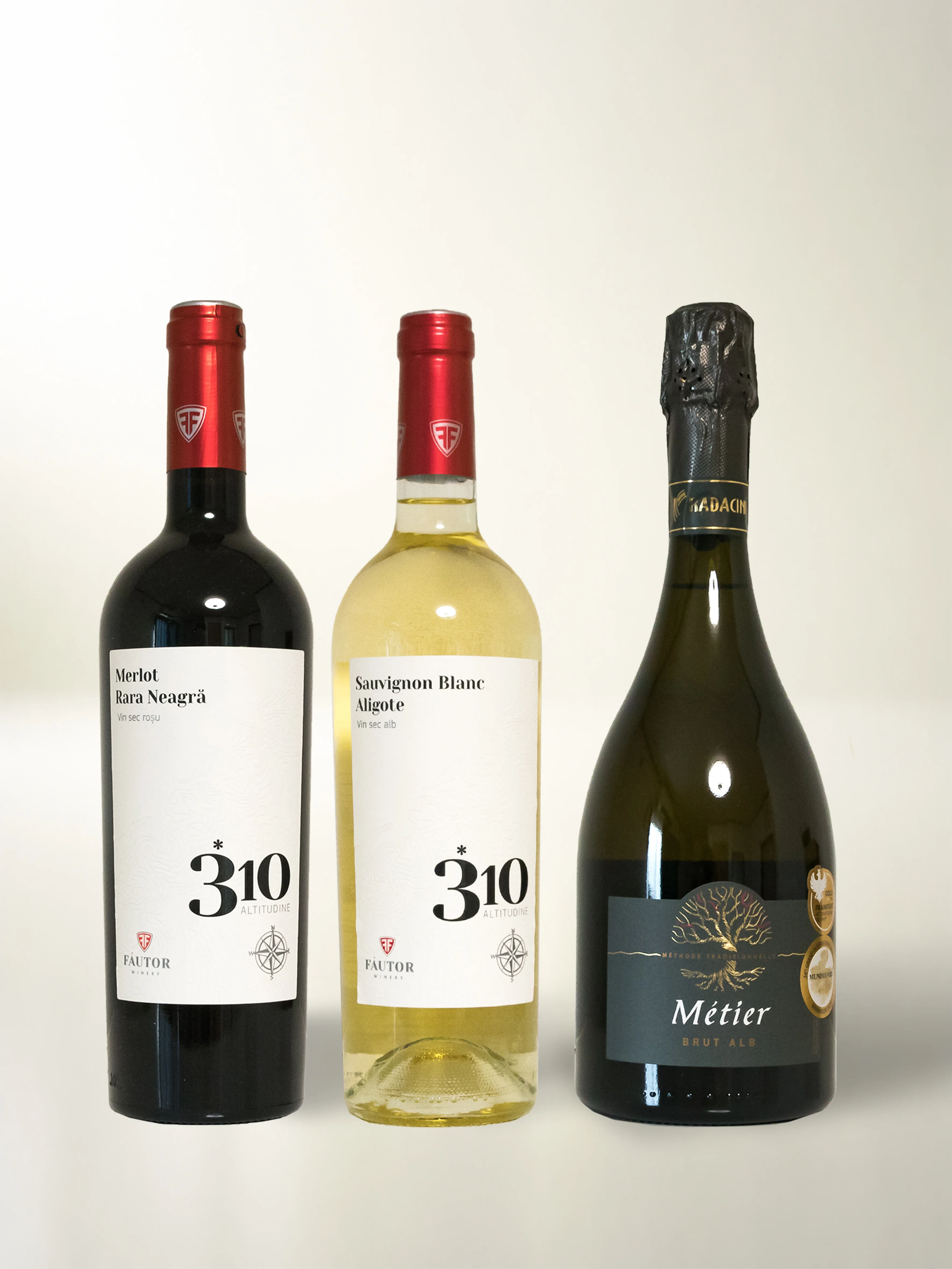 初めてのモルドバワイン 3本セット